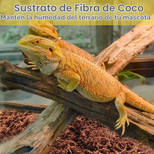 Vista 7 de Legigo 2 Pack Sustrato de fibra de coco comprimida - 100% fibra de coco orgánica en bloque para cama de reptiles, sustrato natural de cáscara