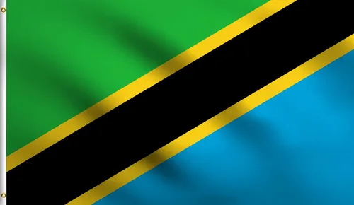 Vista 51 de DMSE - Bandera nacional beninesa beninesa de la República de África Occidental, 2 x 3 pies, 100 % poliéster, 100 % poliéster, resistente a los rayos
