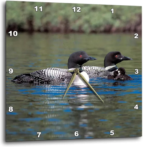 Vista 3 de 3drose Family of Three Loons - Reloj de pared de 10 x 10 pulgadas