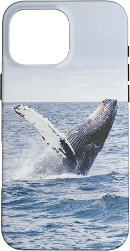 Vista 19 de Whale Case for iPhone 17