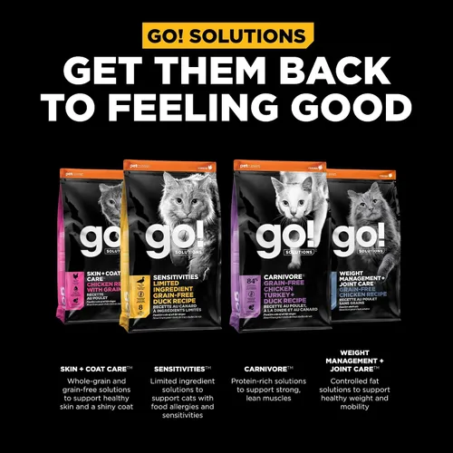 Vista 7 de Go! Solutions Digestión + salud intestinal, comida seca para gatos, receta de pollo con granos antiguos, bolsa de 3 libras Fiber-Rich Kibble for