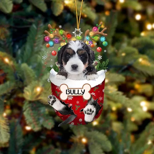 Vista 8 de IZI POD Affenpinscher Adorno de Navidad personalizado para perro, adorno de bolsillo de nieve para perro para árbol de Navidad, adorno acrílico