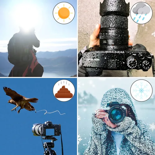 Vista 2 de Paraguas para zapatos calientes, protege la cámara de la lluvia, pájaro, luz solar, nieve