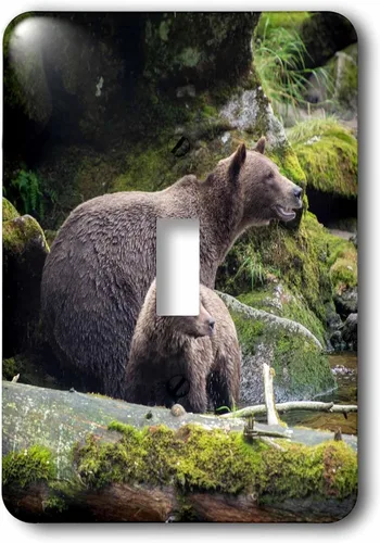 Vista 2 de 3dRose Brown bear cub staying close to mom at Anan Creek. 2 plug outlet cover