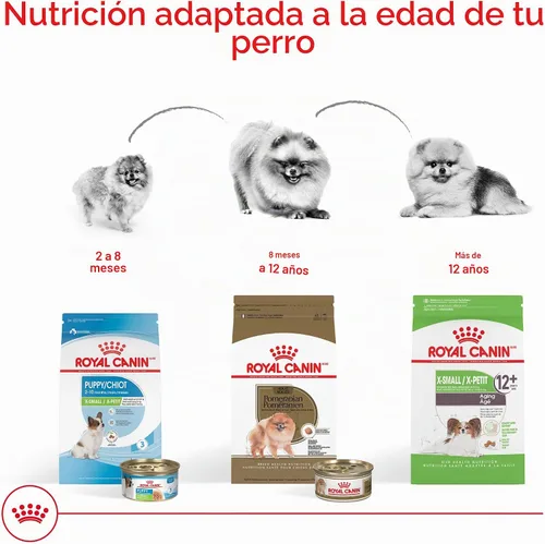 Vista 5 de Royal Canin BHN Pomeranian - Alimento seco para perros adultos, bolsa de 2.5 libras