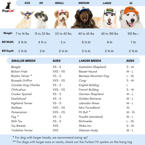 Vista 6 de PupLid Gorras de béisbol para perros, protección solar elegante de alta calidad para el perro moderno (XS, negro)