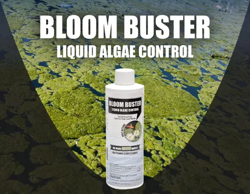 Vista 9 de Bloom Buster Control de algas para estanques de peces y jardines acuáticos, 8 onzas, seguro para peces koi, peces dorados y plantas, controla