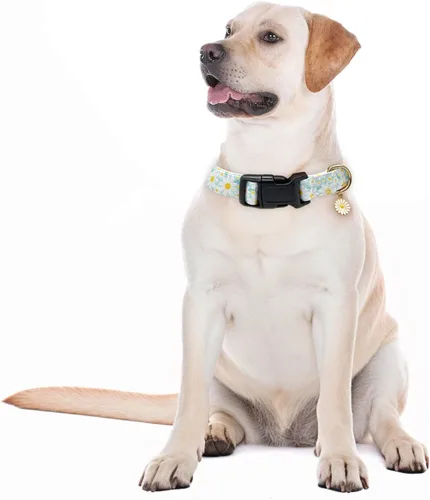 Vista 5 de Collares para perros con hebilla ajustable para lindas, hembras, hembras, machos, collar especial suave y elegante para perros con diseño de flores