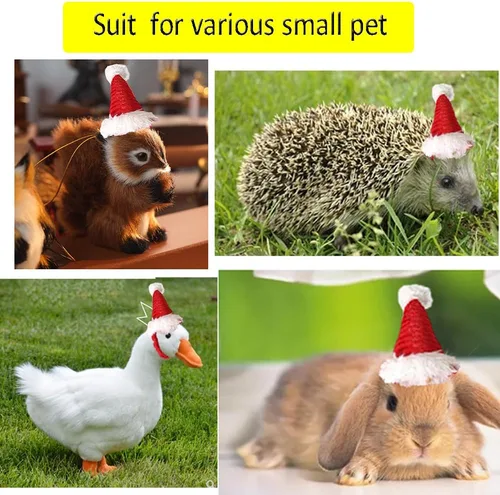 Vista 3 de ANIAC Sombreros de hámster de Navidad, disfraz de conejillo de indias, mini sombrero de Santa para gatito, chinchilla, conejo, erizo, hurón