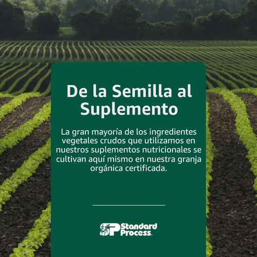 Vista 7 de Standard Process Inc. Cholacol - Suplemento de apoyo a la vesícula biliar - Suplemento para la digestión de grasas para la salud digestiva