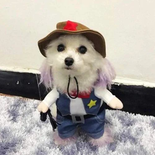 Vista 3 de Chaqueta de vaquero divertida para perros y gatos pequeños