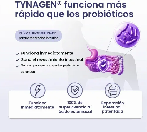 Vista 4 de Kayode Digestión definitiva. Antidiarrea de acción rápida para perros. Remedio para pedos para perros y alivio de gases para perros. Nutrientes