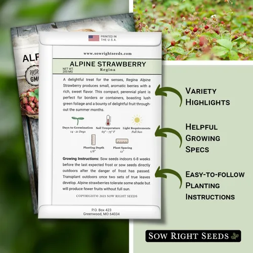 Vista 2 de Sow Right Seeds - Semillas de fresa Regina Alpine para plantar - Paquete de reliquia sin OMG con instrucciones para plantar y cultivar un huerto