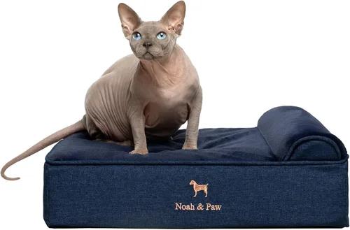 Vista 14 de NOAH & PAW Cama pequeña para perros, 20 x 15 x 6.5 pulgadas, cama para gatos de interior, espuma viscoelástica ortopédica de cáscara de huevo Verde