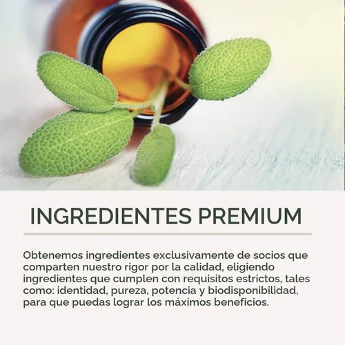 Vista 6 de Bacopa Monnieri Leaf, sin OMG, vegano, 1000 mg, 180 tabletas - 90 porciones