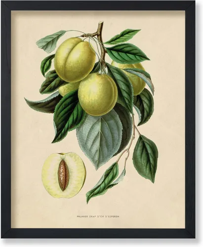 Vista 26 de Poster Master Póster Vintage de Titmouse Canadiense - Impresión Retro de Aves de América - Arte de Aves - Regalo para Hombres, Mujeres y Amantes
