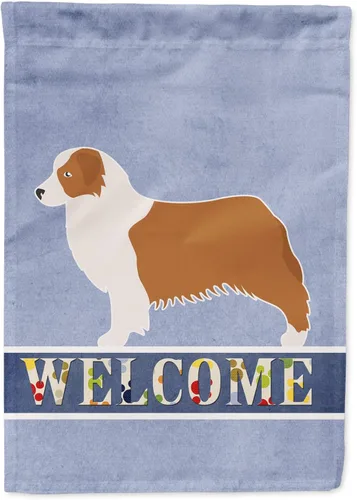 Vista 126 de Caroline's Treasures BB5552GF Affenpinscher Bandera de bienvenida para jardín, bandera decorativa para patio exterior, patio, parterres