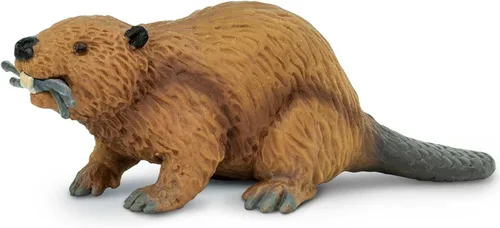 Vista 5 de Safari Ltd. Figura de castor – Figura detallada de plástico de 4 pulgadas – Divertido juguete educativo para niños, niñas y niños a partir de 3 años