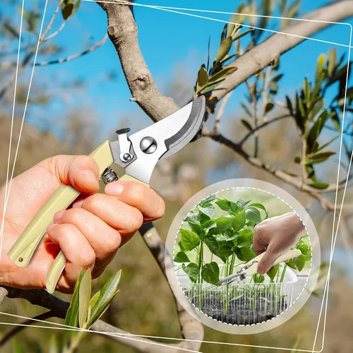 Vista 5 de Chumia 6 tijeras de podar de jardín, tijeras de mano resistentes de acero inoxidable para cortar flores, recortar árboles, regalos de jardinería