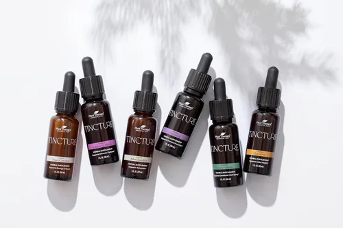 Vista 7 de Plant Therapy Suplemento de hierbas de saúco orgánico tintura de 1.0 fl oz (1 oz), apoyo inmunológico, ayuda a calmar las molestias nasales