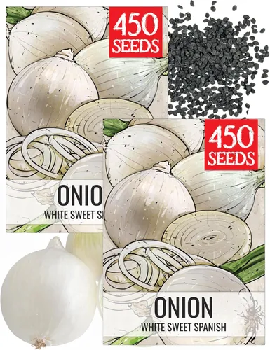 Vista 15 de Seed Needs Semillas de cebolla para plantar cebollas amarillas dulces españolas de día largo – Semillas de verduras sin OMG y sin tratar