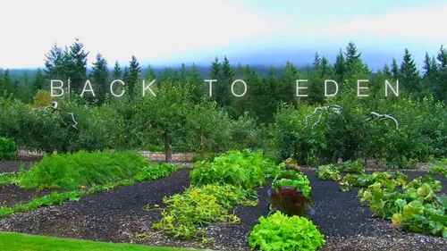 Vista 4 de Back To Eden Film - Simple. Sustainable. Solutions.