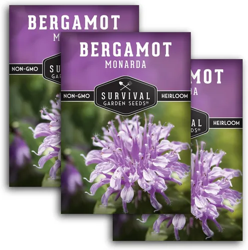 Vista 11 de Semillas de bálsamo de abeja para plantar, bergamota silvestre (Monarda Fistulosa), flores silvestres nativas perennes y hierbas medicinales