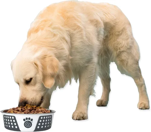 Vista 5 de PetRageous 15002 Fiji - Tazón para perro de acero inoxidable antideslizante apto para lavavajillas, capacidad de 6.5 tazas, 8.5 pulgadas