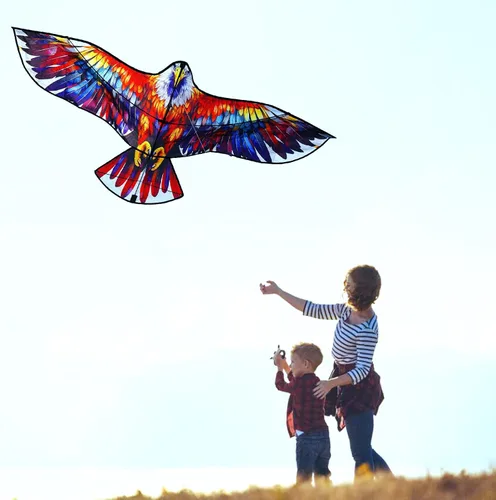 Vista 5 de HENGDA KITE Cometa de águila, para niños y adultos, fácil de volar, excelente diseño de tela y estructura, las imágenes son hermosas en alta