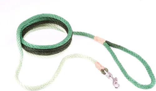 Vista 253 de Alvalley Correa para perros estilo broche – Correa de nailon estilo broche para perros – Fácil de manejar – Perfecto para perros pequeños, medianos
