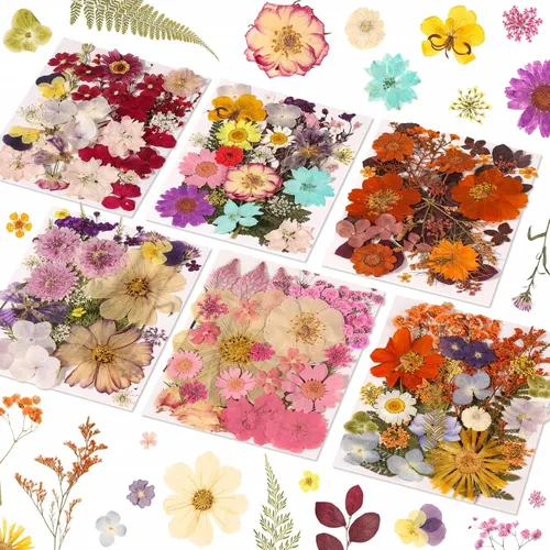 Vista 8 de Evatage - 200 flores secas prensadas pequeñas para manualidades de resina 200 piezas de flores prensadas