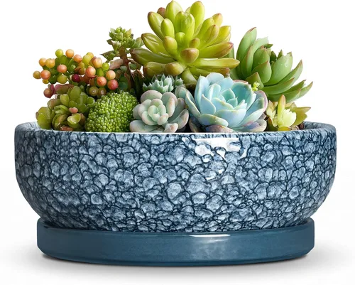 Vista 27 de Succulent Pots, 6 Inch Ceramic Bonsai Pots with Saucer, Blue