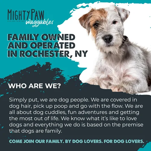 Vista 7 de Mighty Paw Waggables - Probióticos masticables para perros (hechos en Estados Unidos) Probióticos para perros y enzimas digestivas. Probiótico