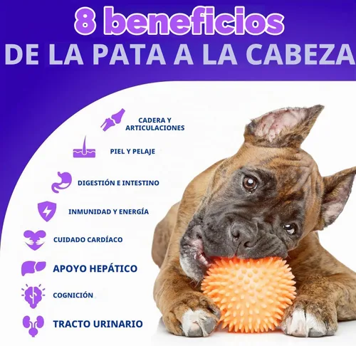 Vista 2 de Multivitamínico 20 en 1 para perros con glucosamina, vitaminas y suplementos masticables para perros, masticables multivitamínicos para adultos
