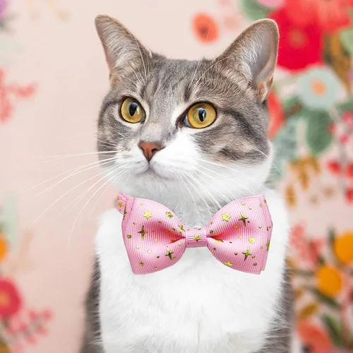 Vista 4 de Pohshido Paquete de 2 collares de gato con pajarita y campana, collar de gatito estrellado para machos, hembras, niños y niñas, gatos (rosa y negro)