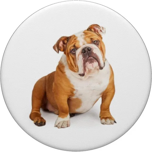 Vista 3 de PopSockets Grip and Stand for Phones and Tablets - Chubasquero con diseño de bulldog inglés