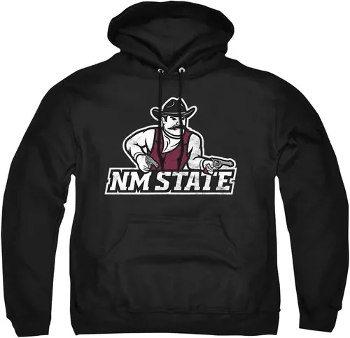 Vista 64 de Distressed College Primary Logo Adult Pullover Hoodie Collection 1 Universidad Estatal de Albany