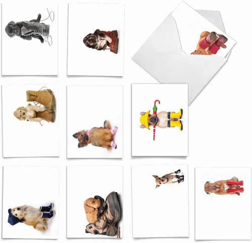 Vista 5 de The Best Card Company - 10 tarjetas divertidas de agradecimiento para perros (4 x 5.12 pulgadas) - Papelería de gratitud en caja para todas