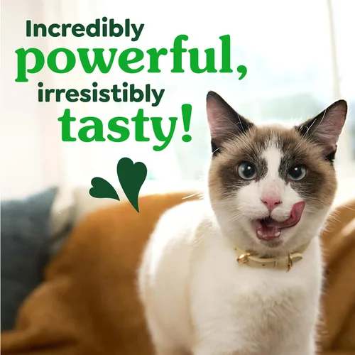 Vista 7 de Greenies Golosinas dentales naturales para gatos adultos recomendadas por veterinarios, tentador sabor a atún, bolsa de 2.1 oz