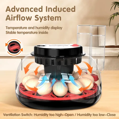 Vista 2 de Incubadoras para huevos para incubar huevos, 12 huevos con giro automático de huevos y control de humedad, visualización de 360° para pollo, patos