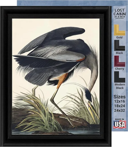 Vista 31 de Lost Cabin American Flamingo por James Audubon Impresión en marco biselado negro Reproducción de pintura de obras de arte finas Póster
