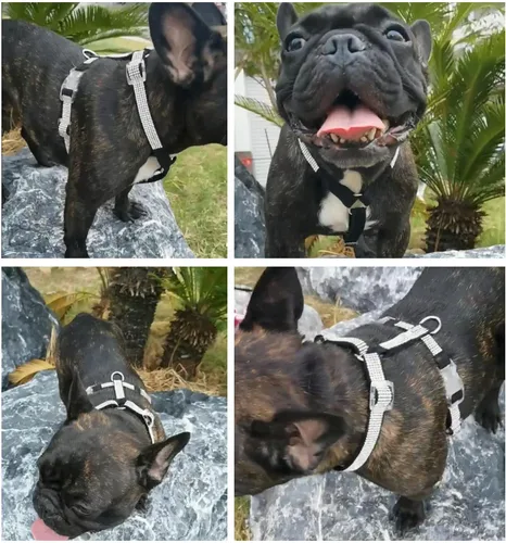 Vista 5 de HDKUW Arnés de diamantes de imitación brillantes para perro, arnés con hebilla ajustable sin tirones con anillo en D para perros pequeños y medianos