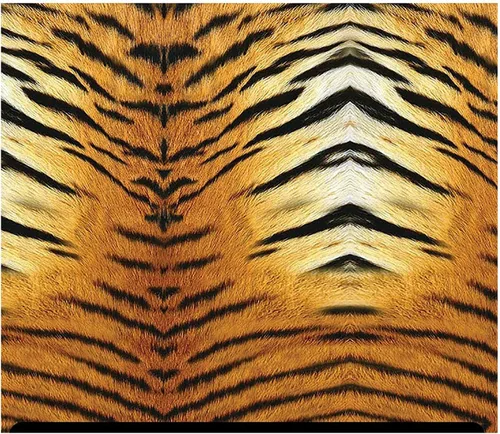 Vista 8 de HTV con estampado de animales (19.66 x 36 pulgadas) - Leopardo arcoíris