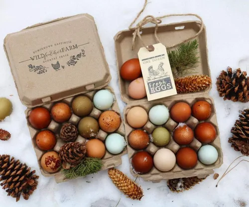 Vista 3 de Cartones de huevos vintage para 12 huevos grandes, diseño clásico de 3 x 4, cartón reciclado duradero, estilo granja, embalaje ecológico, paquete