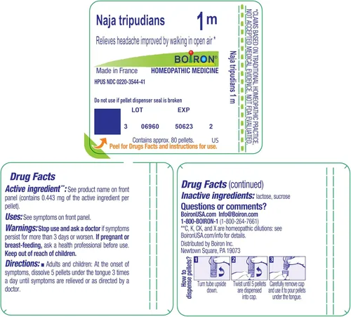 Vista 9 de Boiron Naja Tripudians 1M Md 80 pellets para dolor de cabeza mejorado caminando al aire libre Single-medicine homeopathic pellets for Headaches.