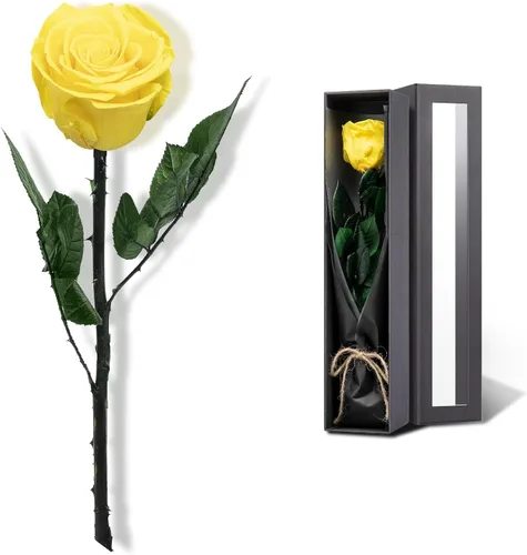 Vista 12 de Flores para Entrega Prime, Rosas Preservadas Regalos de Flores para Mujeres, Rosas Reales Regalos de Rosa Individual para Ella, Regalos