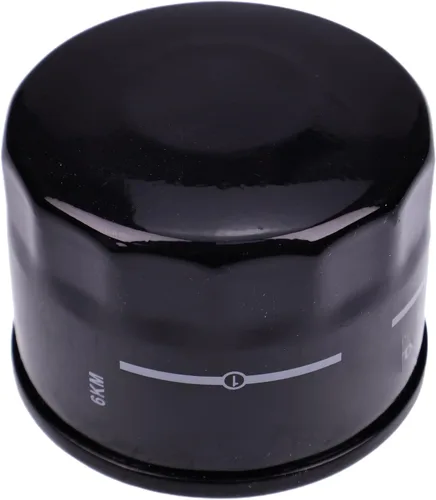 Vista 3 de Nuevo filtro de aceite de motor 16510-87J00 compatible con Suzuki Boat DF 25 30 40 50 60 70 fueraborda 778885 5031411