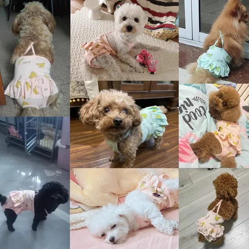 Vista 6 de 2 piezas de pañales para perro con tirante, lavables, sanitarios, reutilizables, pantalones sanitarios para cachorros, ropa interior para mascotas