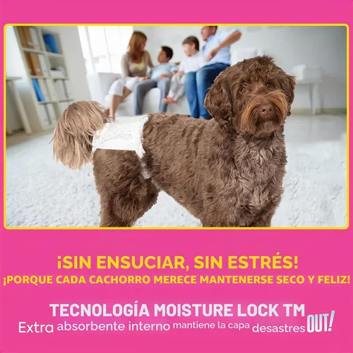 Vista 5 de . Pañales desechables para perras, para el cuidado de mascotas, absorbentes con ajuste a prueba de fugas, tecnología de bloqueo de humedad