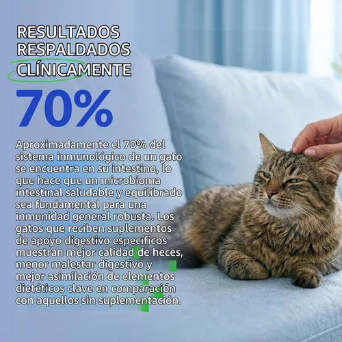 Vista 3 de Probióticos para gatos con prebióticos para gatos Salud digestiva y apoyo